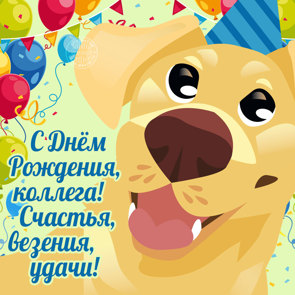 С днём рождения коллега. С днём рождения коллеги. С днем рождения коллеге жен...