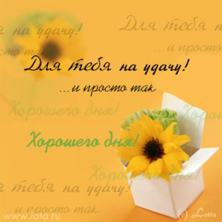 Картинка Желаю море удачи и дачу у моря. Картинка Я желаю тебе удачи.