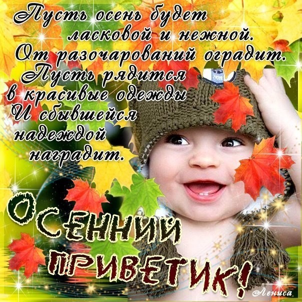 Открыткам пусть каждый день осени наполняется удачи. Открытка с котёнка в осе...