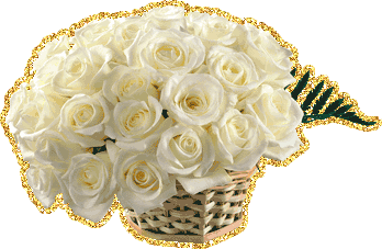 Шикарные Белые розы фото. Белые розы фото букет. Фото Белые розы в вазе.