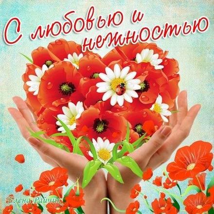 Открытка Поздравляю с нарисованными красными маками.  Векторная картинка крас...