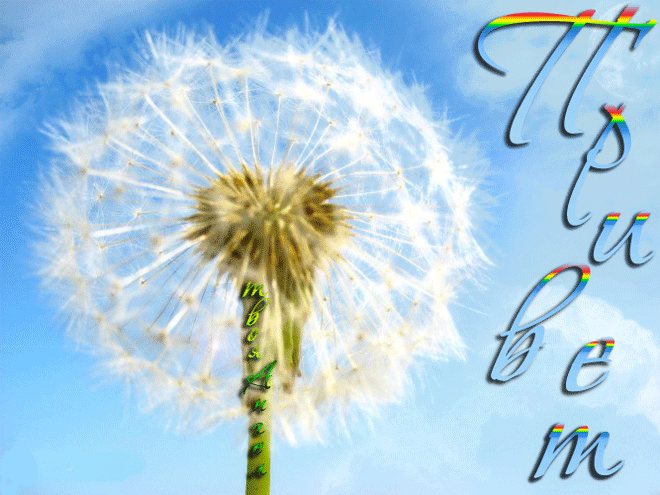 Открытка мерцающая с одуванчиками белыми в стеклянной вазе. 