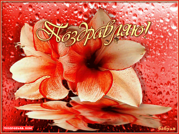 Открытка с цветами поздравляю. картинки с надписью Поздравляю.