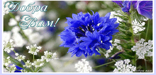 Открытка тебе в подарок Василёк добра и радости цветок. Открытка будь любимой...