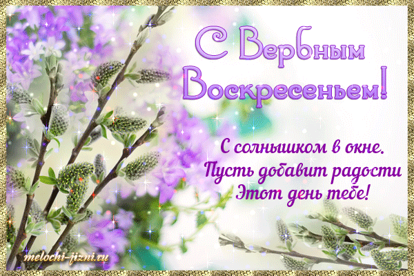 Картинка анимация С вербным воскресеньем. Картинка поздравляю с вербным воскр...