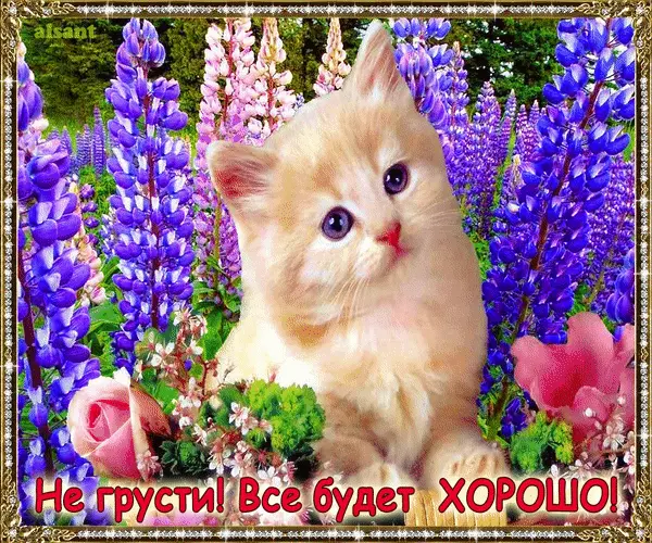 Открытки Не грусти анимация. Открытка не унывай. Картинки Не грусти я с тобой.