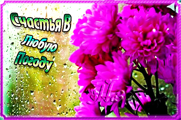 Картинки с юмором о погоде. Погода смешные картинки. Картинки Погода дождь.