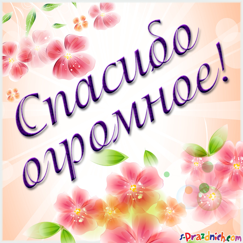 Картинки со словом Спасибо. Картинки Спасибо за внимание смешные.