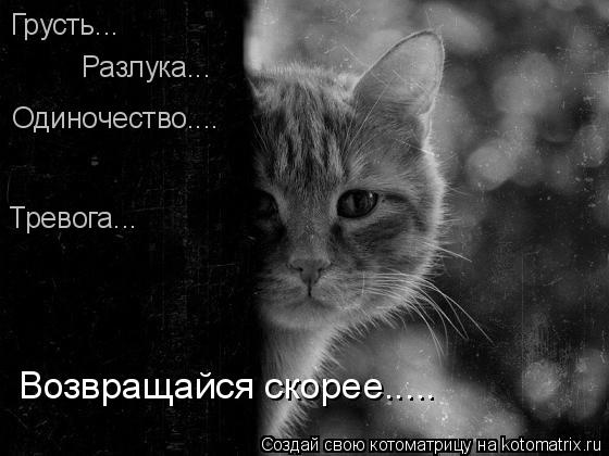 Картинки Возвращайся скорее домой. Картинки Возвращайся скорее.