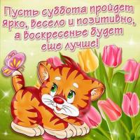 Картинки поздравления с субботой. Картинки всех с субботой. 