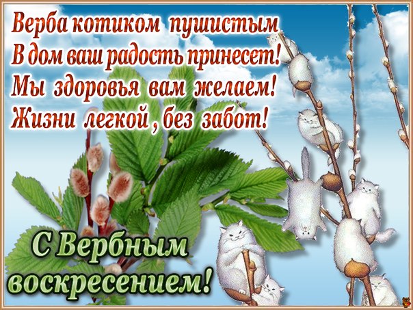Вербное воскресенье 2020 картинки. Открытки с наступающим вербным воскресеньем.