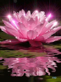 Открытка мерцающая блестящая с цветком лотоса. Открытка Лотос блестит в темноте.