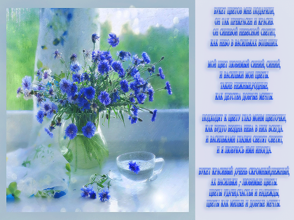 Открытка тебе в подарок Василёк добра и радости цветок. Открытка будь любимой...