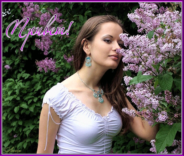 Открытка это Майский привет от меня с бабочкой сидящий на цветке сирени.