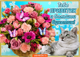 Привет как дела? Открытка с собакой Привет Желаю отличного настроения!