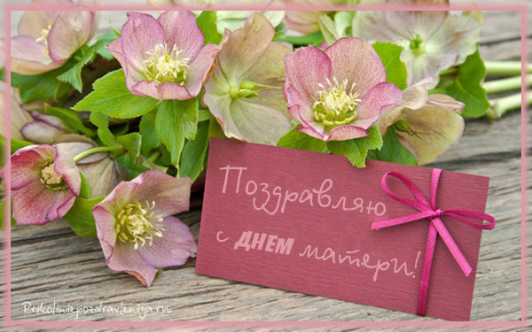 Открытки с Днём матери красивые. Открытки с Днём матери 2020.