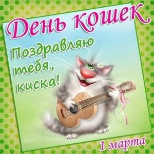 Открытка Всемирный день кошек 8 августа. Красивые картинки с днем кошек. 