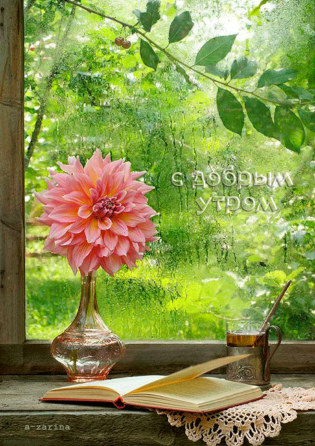 Открытка для тебя георгинами на чёрном фоне. Открытка с красным георгином.