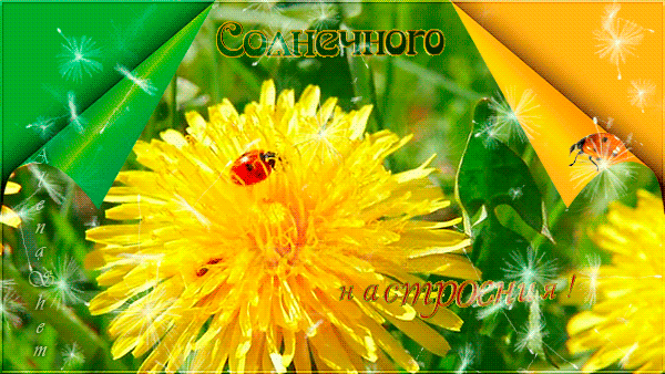 Открытки ретро ко дню рождения воробей с одуванчиком и земляникой. Открытка р...