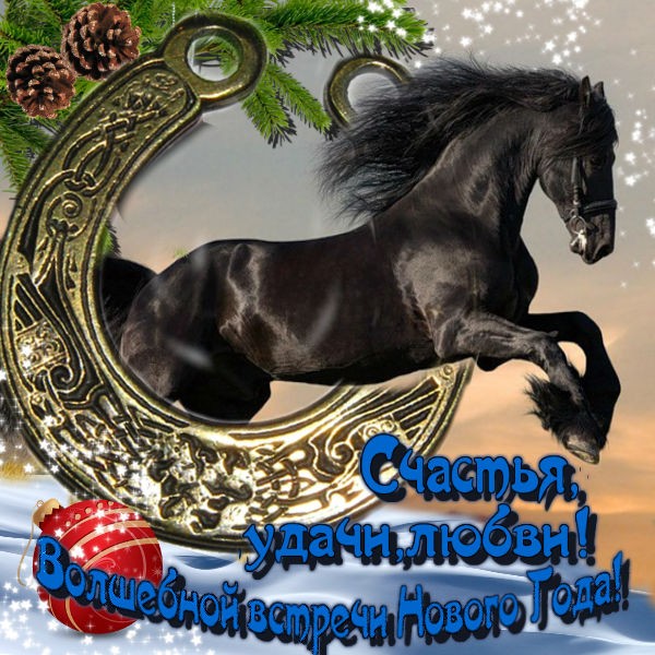 Новогодние открытки с лошадьми. Прикольные открытки с лошадью.