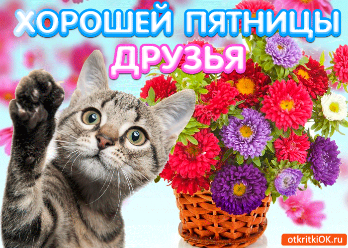 С пятницей Хороших выходных. Открытки гиф С пятницей. Настроение пятница GIF.