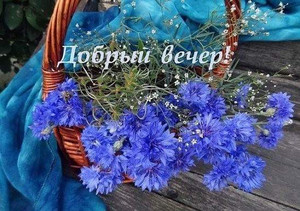 Открытка тебе в подарок Василёк добра и радости цветок. Открытка будь любимой...