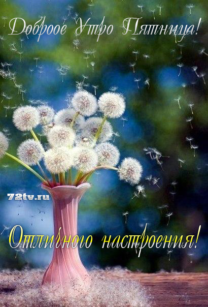 Открытки хорошей пятницы и выходных. Прикольные открытки хорошей пятницы.