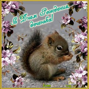 Открытка белочка с днём рождения. Прикольные открытки с белочкой.