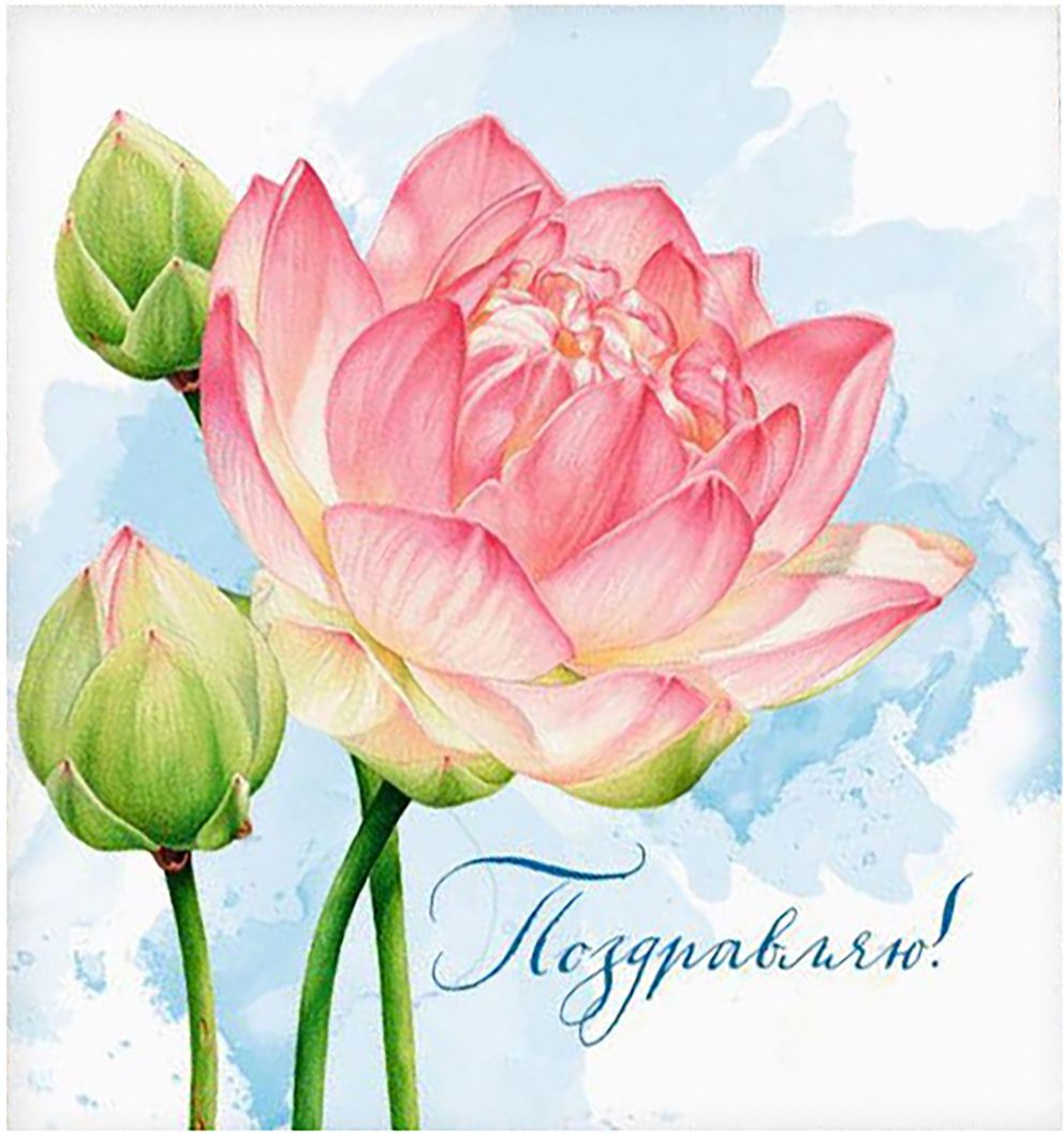 Открытка для тебя георгинами на чёрном фоне. Открытка с красным георгином.