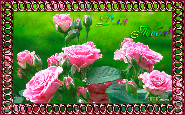 Открытка с розовыми розами, с Днём Рождения тебя! Открытка с букетом ярко роз...