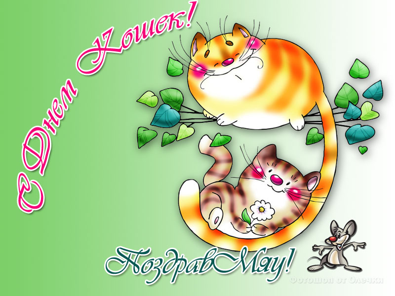 Смешные картинки котов с надписью. Смешные фото котов с приколами.