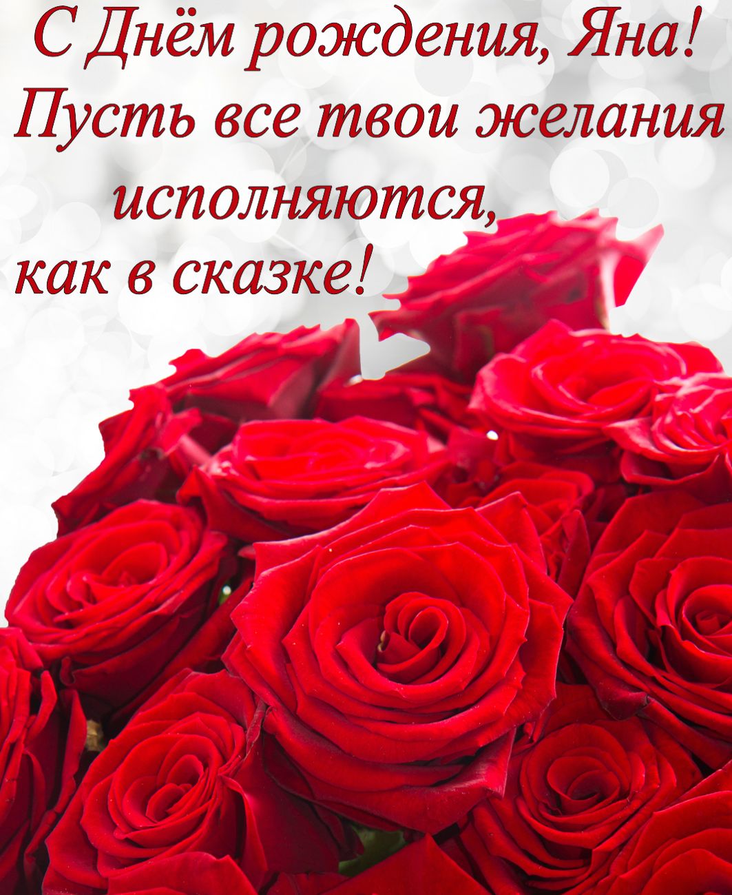 Красивые розы фото. Картинки розы красные. Розы фото скачать.