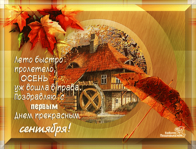 Открытка с котом , с началом осени! Открытки со стихами про осень.