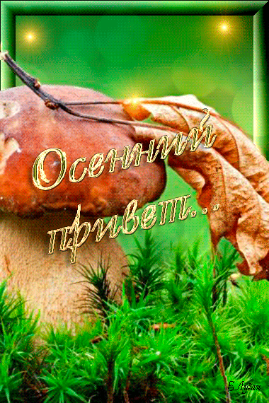 Прикольные картинки осенний Привет. Красивые картинки осенний Привет. 