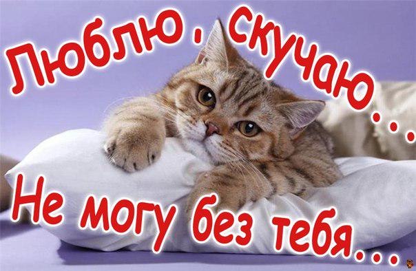 Открытка Я скучаю любимый. Открытка Я скучаю по тебе на английском.