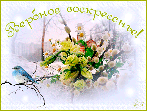 Открытка с вербным воскресеньем скачать бесплатно. Открытка с вербным воскрес...