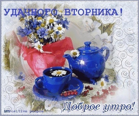 Открытки Отличного вторника картинки. Картинки с надписью вторник.    Прикольные картинки Сегодня вторник. Фото приколы вторник. Вторник прикольные картинки. Открытка кот и денежное дерево. Открытка чудесного вторника! Открытка Удачного вторника! Доброе утро!