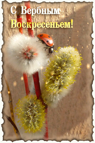 Открытки с вербным воскресеньем 2020. С наступающим вербным воскресеньем.