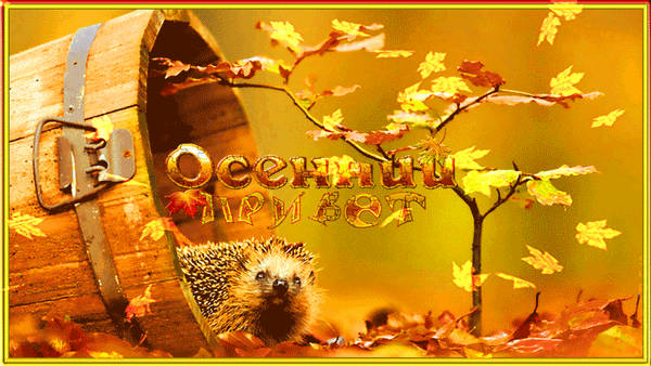 Открытка осенний Привет. Картинки осенний Привет. Картинки скачать бесплатно ...