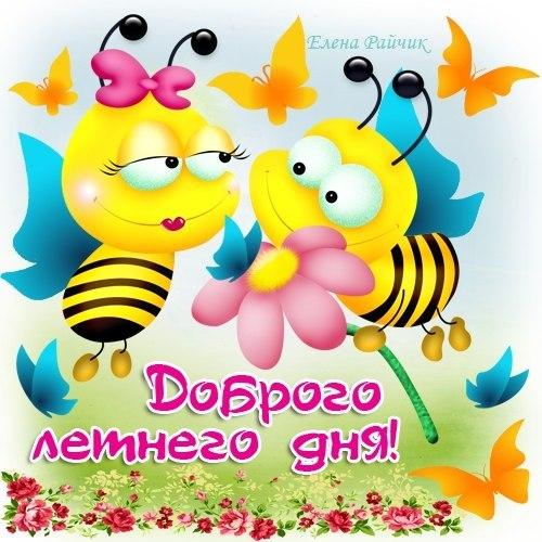 Красивые картинки лето на рабочий стол. Картинки лето 2019. 