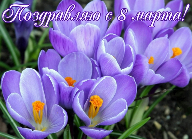 Открытки поздравляю с праздником 8 марта! Открытка с букетом розовых роз. Отк...