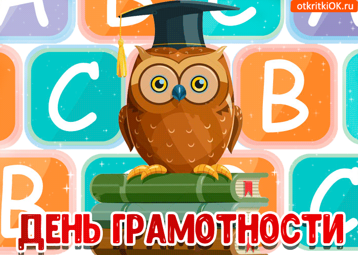 Открытка с анимацией день грамотности. Открытки с совами на день грамотности.
