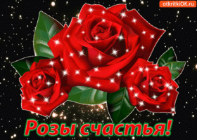 Открытка на Татьянин день с красными розами. Открытка для Яны на день рождени...