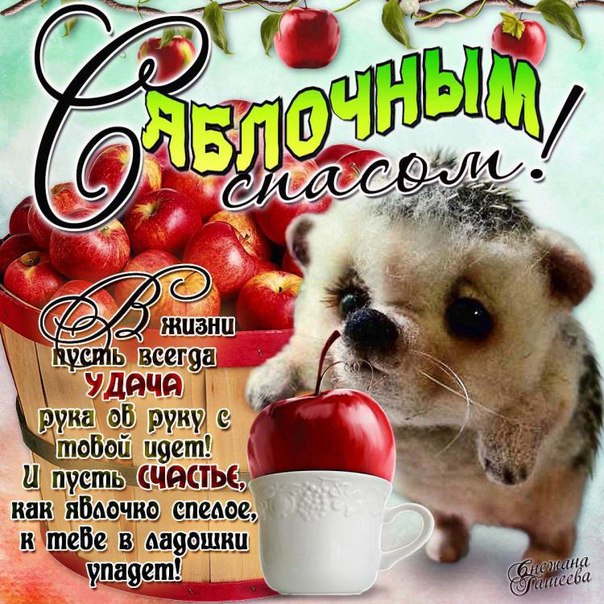 Открытки Открытка с яблочным Спасом бесплатно. Открытка с яблочным Спасом скачать бесплатно. Открытка с яблоками. Открытка с яблочным Спасом и преображением Господним. Открытки с яблочным Спасом поздравления. Открытки с яблочным Спасом и преображением.