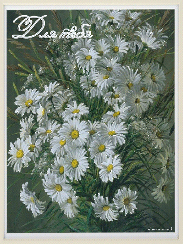 Картинки с ромашками Доброе утро. Картинка с ромашками на день рождения.