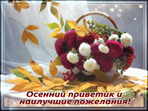 Картинки Привет мужчине. Привет картинки смешные. Картинка Привет из осени.