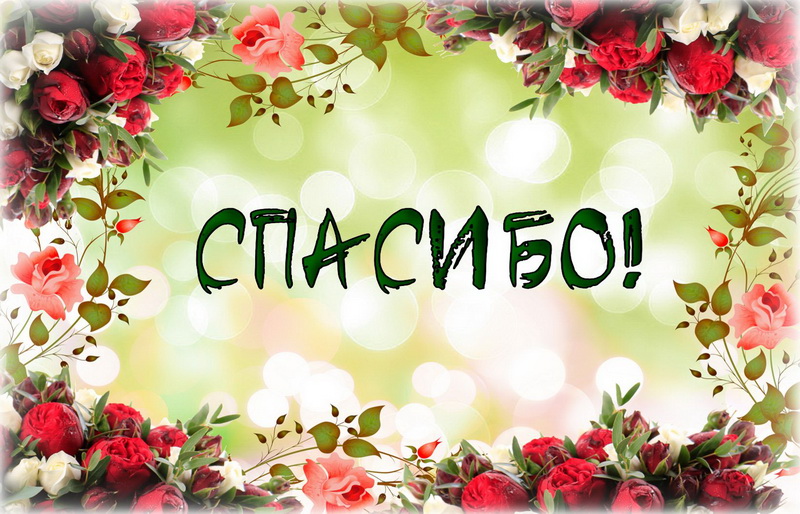 Картинки Спасибо за внимание смешные. Спасибо картинки гиф. Открытка Спасибо ...