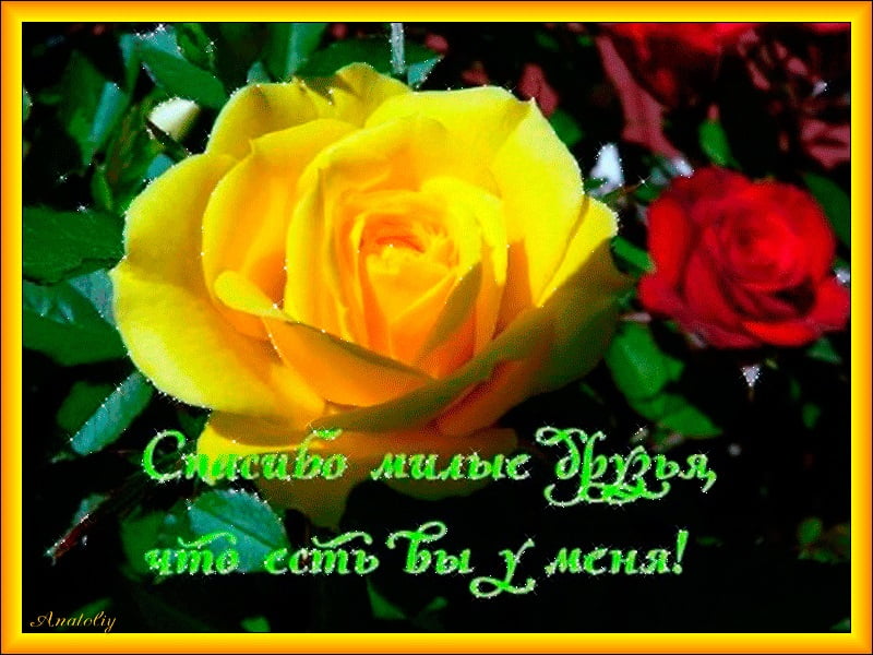 Открытка С любовью для тебя, с жёлтыми розами. Открытки с жёлтыми розами.