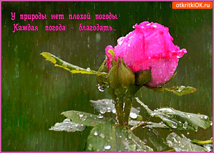 Открытка хорошей погоды картинки. Смешные картинки про холодную погоду.