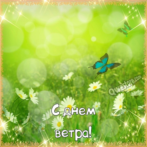 Картинки Спасибо с ромашками. Картинки поле с ромашками. Картинки с 8 мартом ...